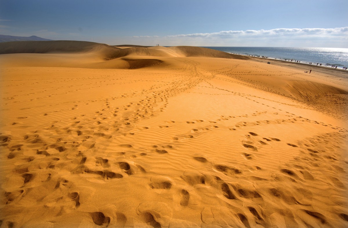 Die Dünen im Südosten von Maspalomas erstrecken sich über eine Länge von sechs und eine Breite von ein bis zwei Kilometern. Der Sand besteht hier nicht aus Gesteinstrümmern, sondern überwiegend aus von der Brandung angeschwemmtem und zerriebenem Korallen- und Muschelkalk. Aufnahme: Oktober 2009.