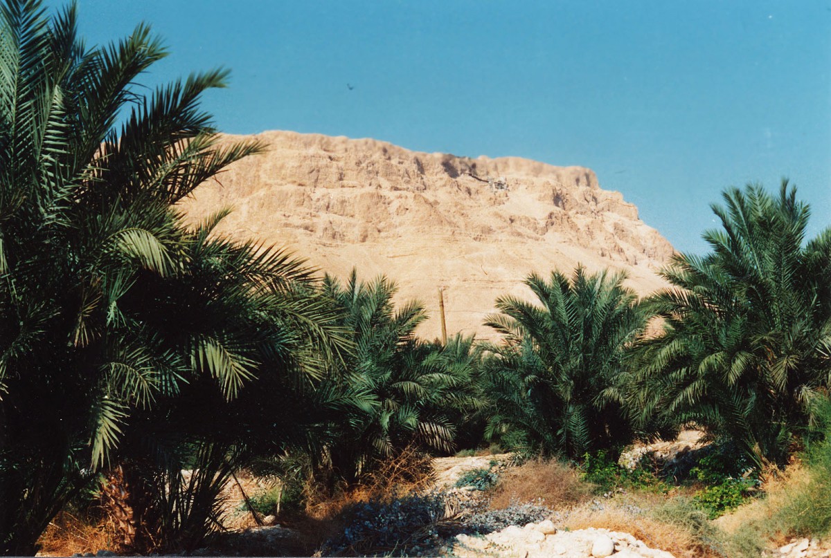 Die ehemalige jüdische Festung Masada von unten gesehen. Aufnahme: November 1987 (digitalisiertes Negativfoto).