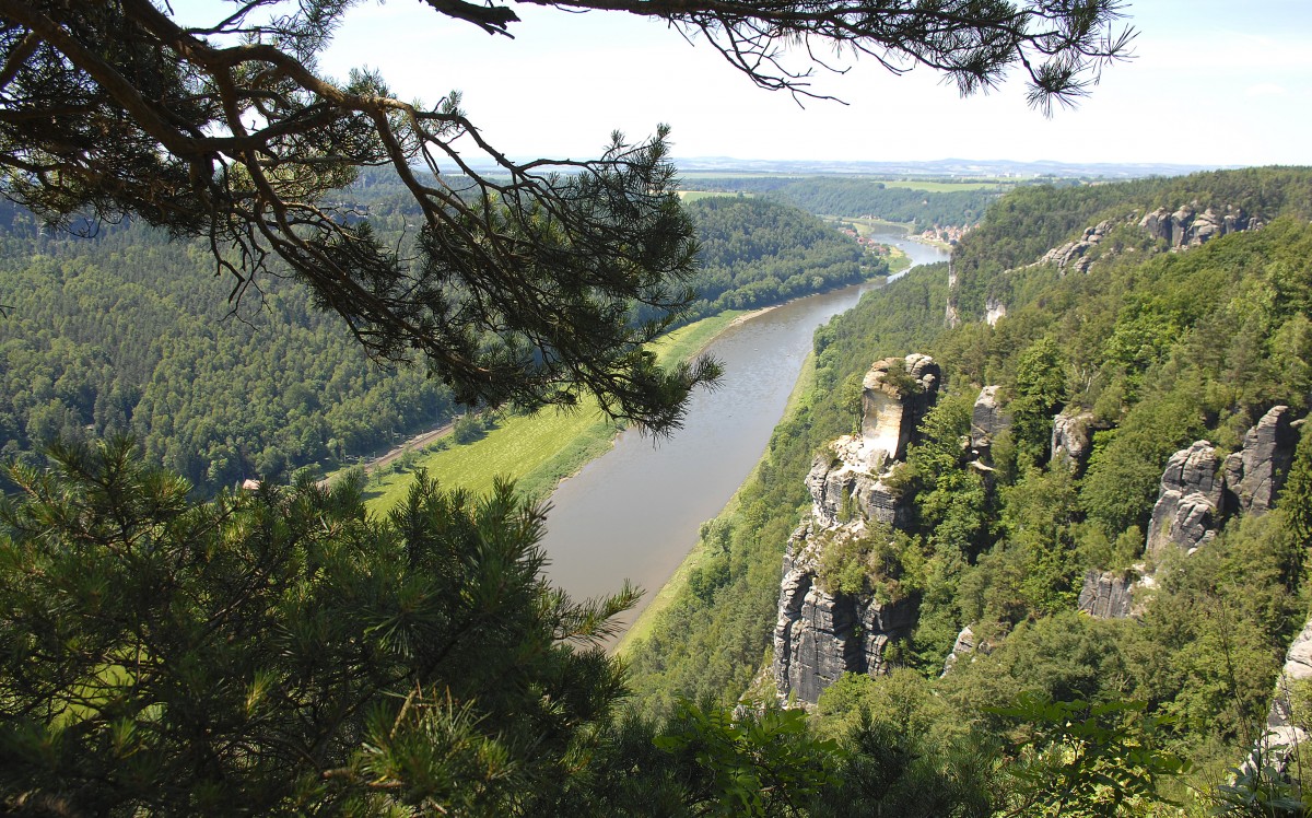 Die Elbe östlich von der Stadt Wehlen. Aufnahme: Juni 2014.