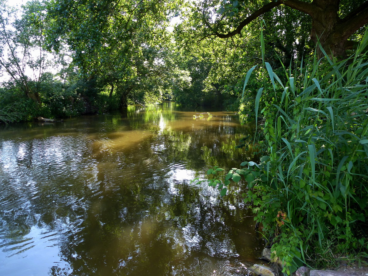 die Elz durchfließt vom Schwarzwald kommend die Rheinebene, hier in der Nähe von Rheinhausen, Juni 2018