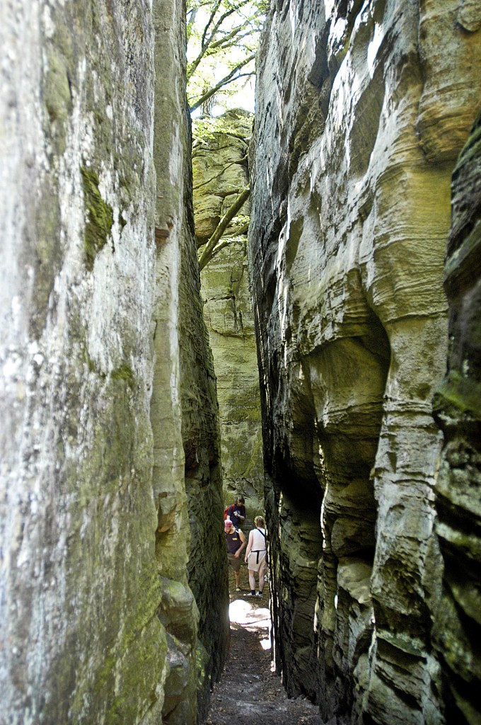 Die enge Roitzbach-Schlucht bei Berdorf (Kleine Luxemburger Schweiz). Aufnahme: August 2007.