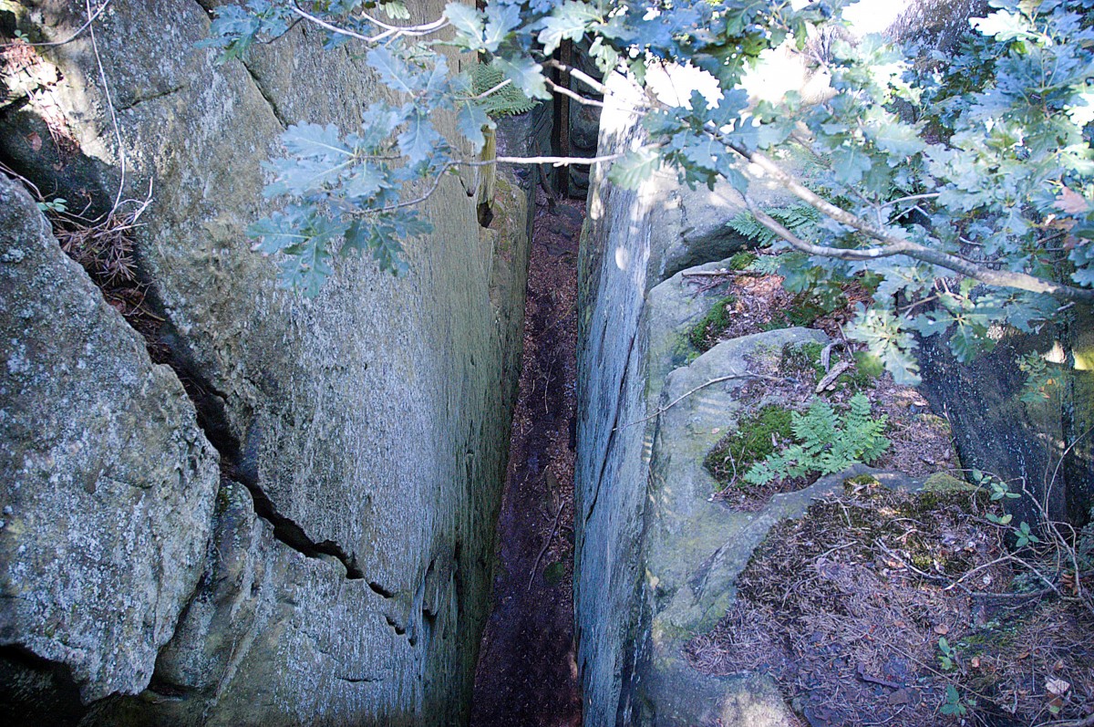 Die enge Roitzbach-Schlucht (Klein Luxemburger Schweiz) von oben gesehen. Aufnahme: August 2007.