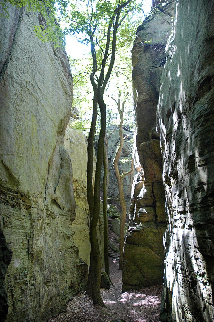 Die enge Roitzbach-Schlucht in La Petite Suisse (Kleine Luxemburger SChweiz). Aufnahme: August: 2007.