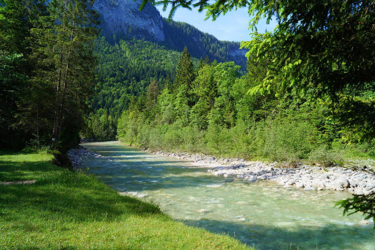 Die frühlingshafte Brandenberger Ache nahe der Kaiserklamm in Brandenberg in Tirol, 09.06.2019.