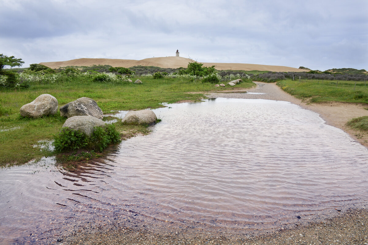 Die Fyrvejen f�hrt von der Landstra�e bei L�nstrup hinauf zur gro�en Wanderd�ne Rubjerg Knude in D�nemark. Aufnahme: 9. Juni 2026.