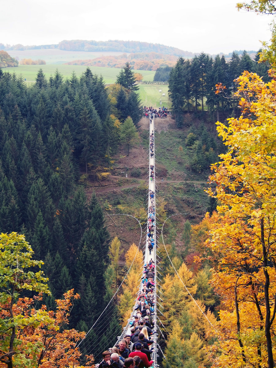 Die Geierlaybrücke bei Mörsdorf im Hunsrück ist Deutschlands längste Hängeseilbrücke. Sie wurde am 3. Oktober 2015 eröffnet. Die Baukosten betrugen 1.140.000 Euro. Bis zum 12. Juni 2016 wurden bereits 200.000 Besucher gezählt. Mit der spektakulären Fußgängerbrücke soll der Tourismus in der strukturschwachen Region nachhaltig gefördert werden. (25. Oktober 2015)