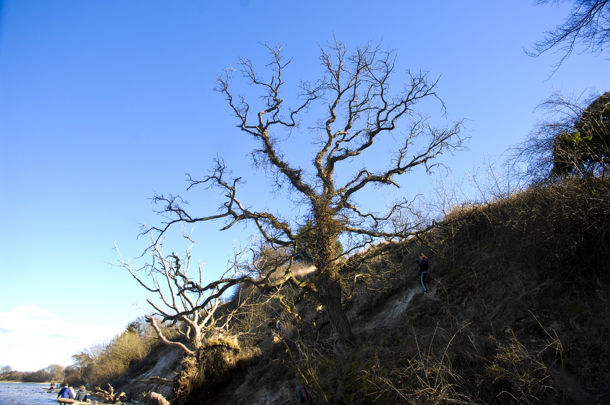 Die Halbinsel Holnis an der Flensburger Förde. Aufnahmedatum: 4. April 2015.