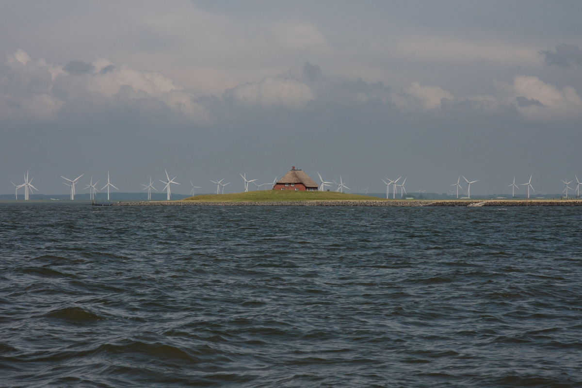 Die Hallig Habel, vom Postboot aus gesehen, am 08.06.2012.