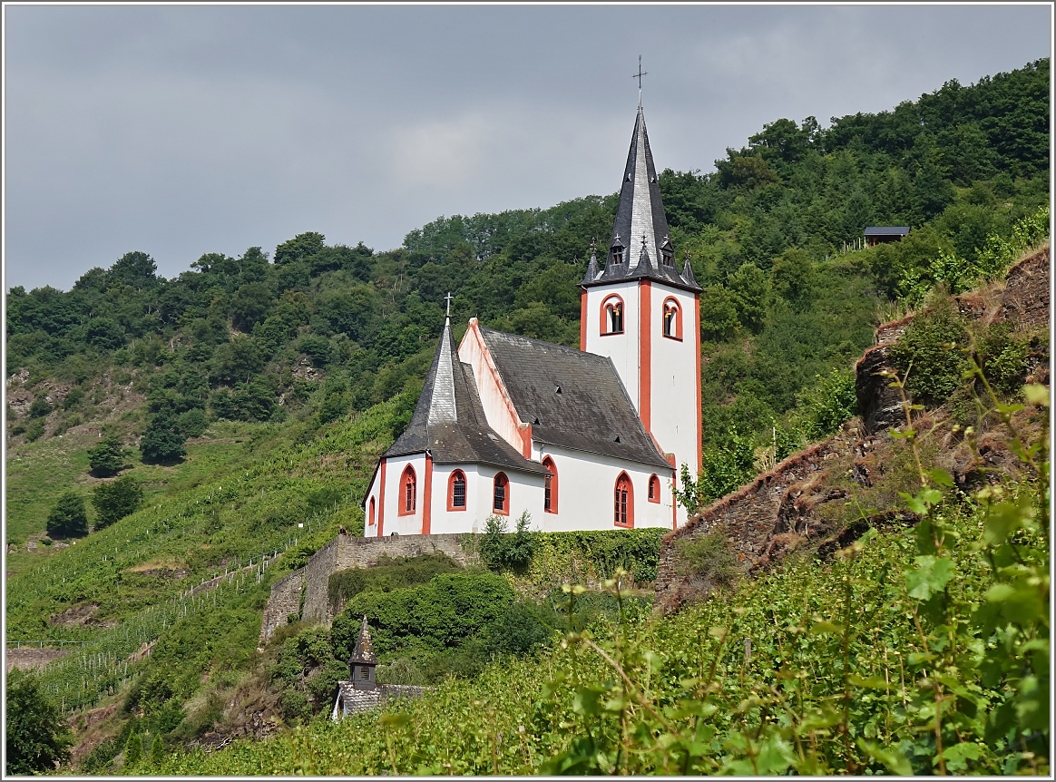 Die Hatzenporter Pfarrkirche St.Johannes umgeben von Weinreben.
(21.06.2014) 