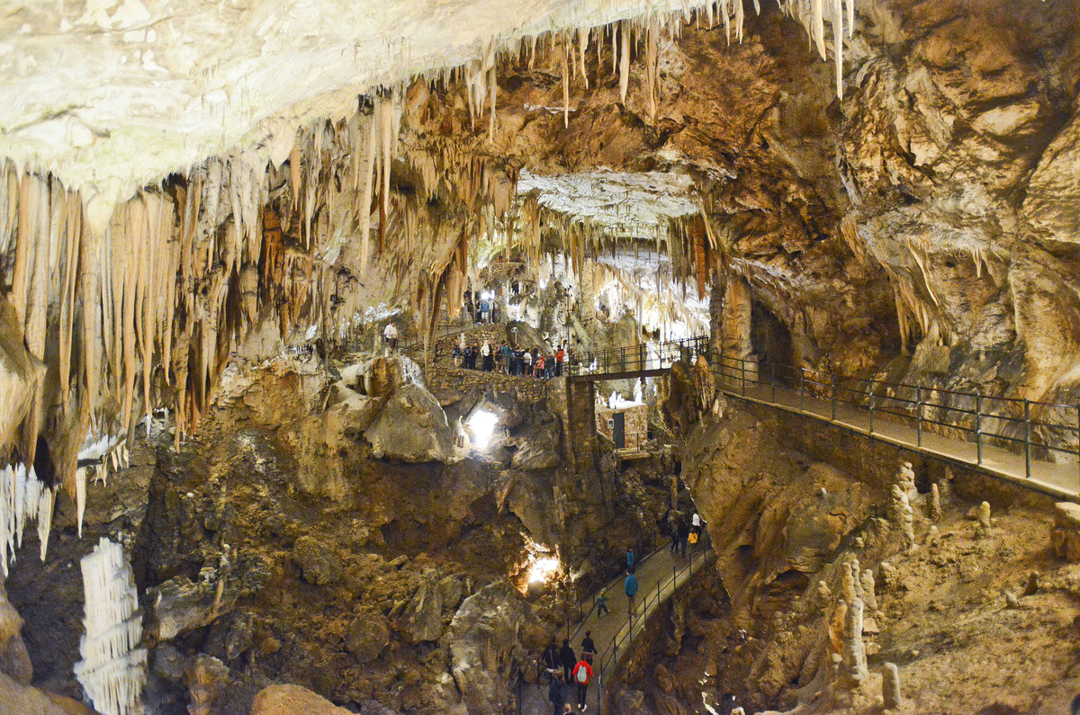 Die Höhlen von Postojna in Slowenien - Dem Besucher bietet sich ein un¬