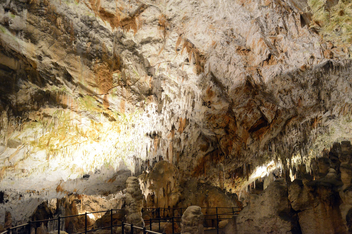Die Höhlen von Postojna in Slowenien sind die zweitgrößten für Touristen erschlossenen Tropfsteinhöhlen der Welt. Aufnahme: 27. Juli 2016