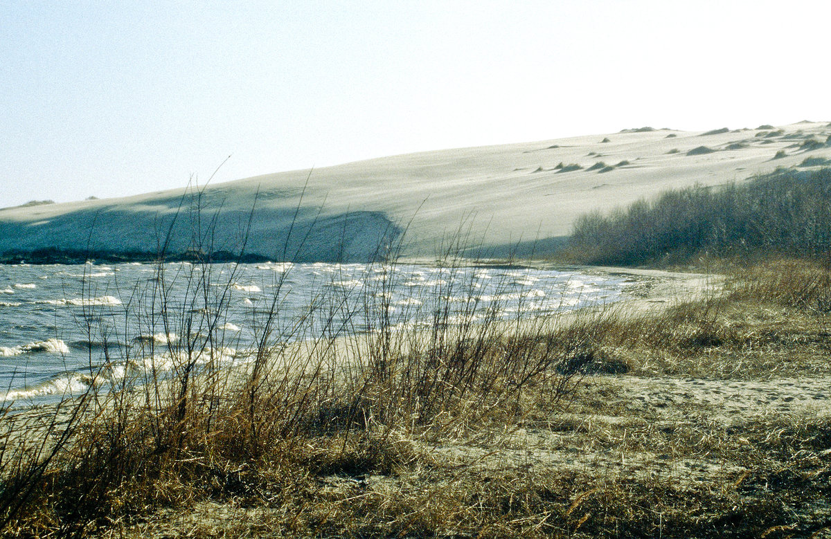 Die Hohe Düne auf der Kurischen Nehrung südlich von Nida (deutsch: Nidden). Bild vom Dia. Aufnahme: März 1995.