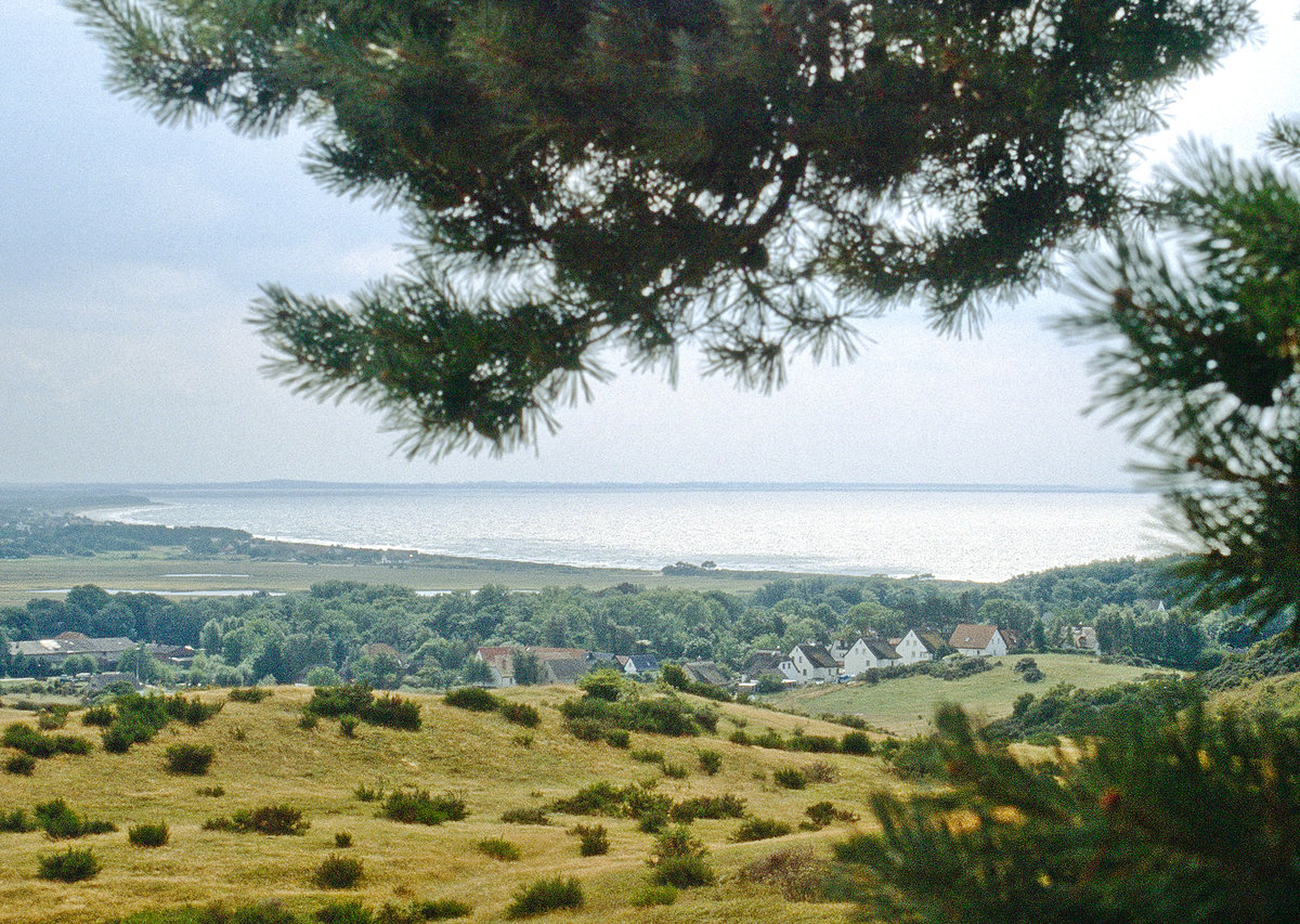 Die Insel Hiddensee vom Aussichtspunkt »Inselblick« aus gesehen. Bild vom Dia. Aufnahme: August 2001.