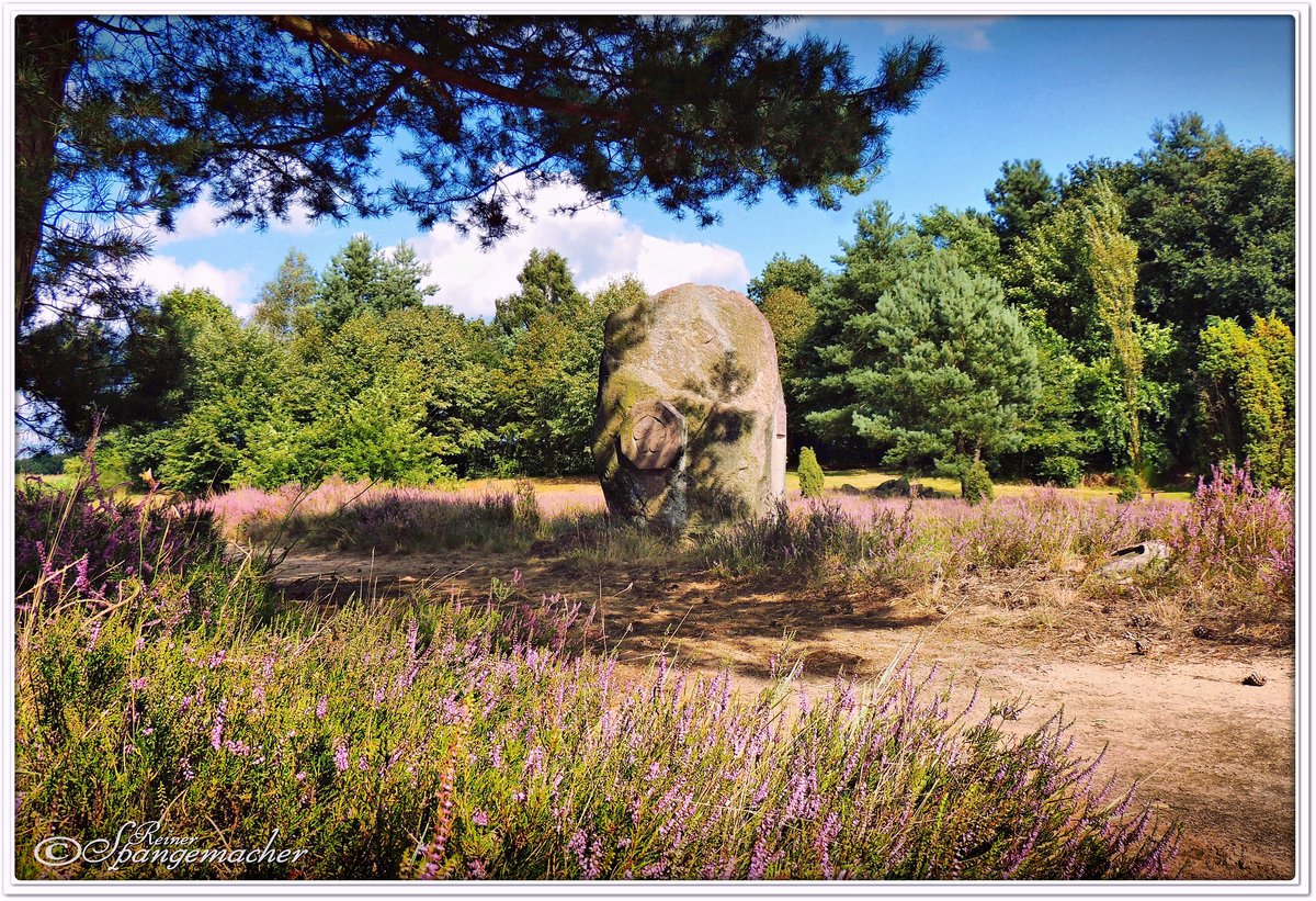 Die Jeersdorfer Heide, ist eine Stiftung. Das Areal ist kaum größer als ein Fußballfeld. Es wird jedes Jahr liebevoll gepflegt. Früher einmal reichte die Heide bis an die A1, so gibt es in Sittensen noch ein Heimathaus und einen Heimatverein, selbst dort wird an die alte Heidjer Tradition erinnert. Heute verbinden wir Heide im Wesentlichen mit dem Naturschutzgebiet Lüneburger Heide, es gibt aber noch sehr viele kleinere Heidegebiete, auch im Kreis Rotenburg oder im Landkreis Winsen/Luhe.
Dieses Foto entstand im August 2014.