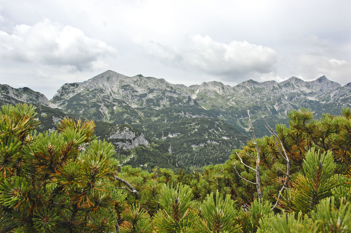 Die Julischen Alpen am Bohinjsee in Slowenien vom Vogel aus gesehen. Aufnahme: 2. August 2016.