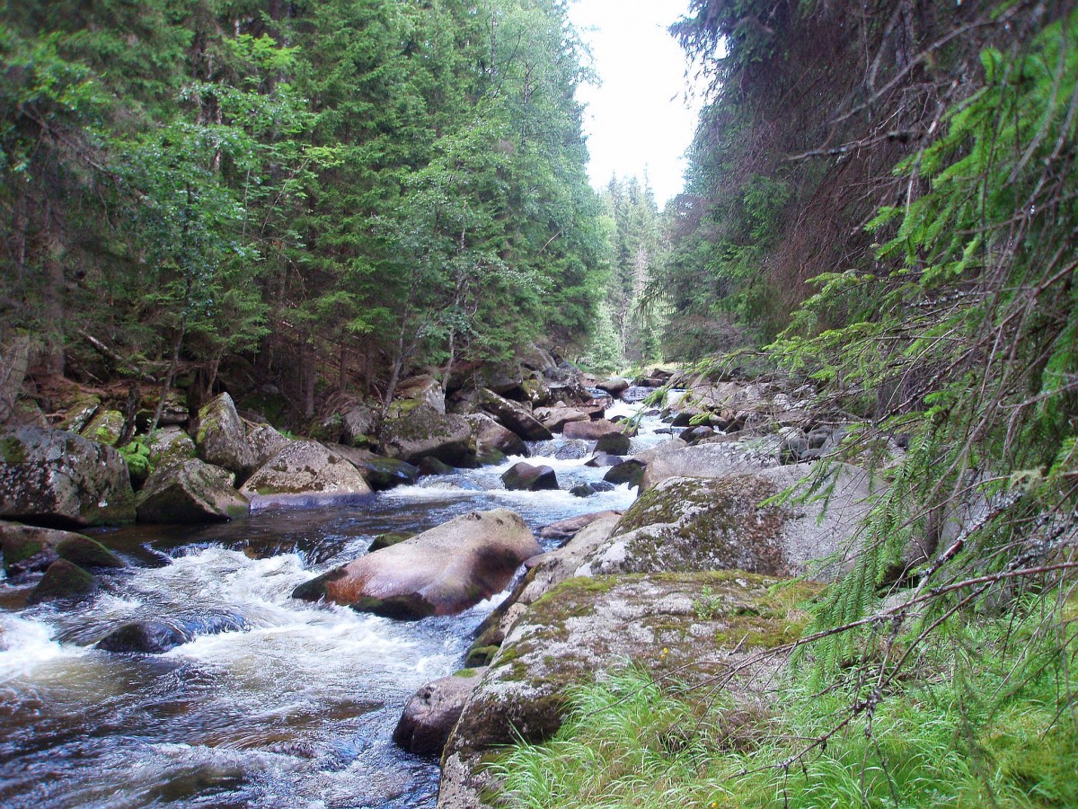 Die Křemelná (deutsch Kieslingbach, Kiesleitenbach) ist ein 30,3 km langer Fluss im Böhmerwald, Tschechien. Die Křemelná entspringt etwa 6 km nördlich von Železná Ruda am Fuße der Berge Pancíř (1214 m) und Můstek (Brückelberg, 1234 m) in 1090 m Höhe in dem ausgedehnten Quellmoor Šmauzy (Schmausen, Naturschutzgebiet). 28.7.2007