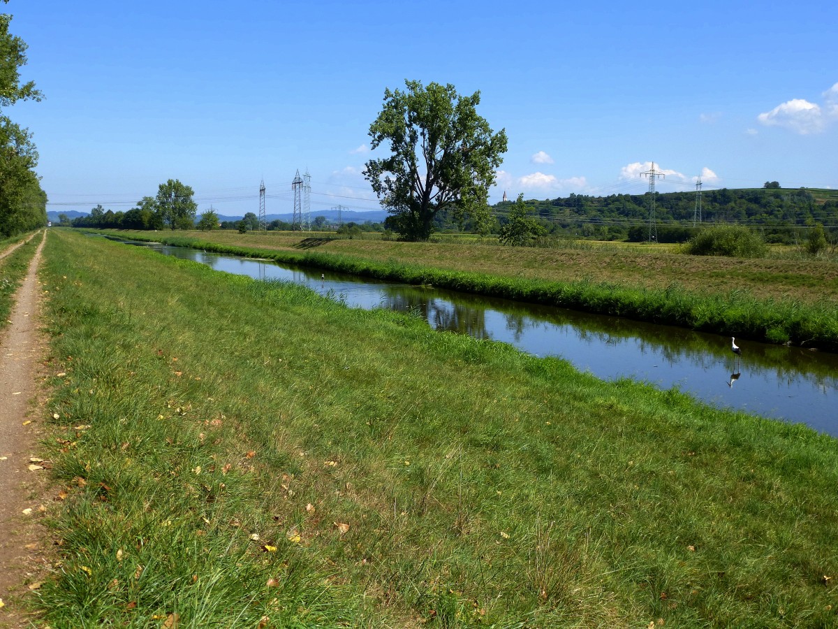 die kanalisierte Dreisam auf dem Weg durch die Rheinebene, Aug.2015 