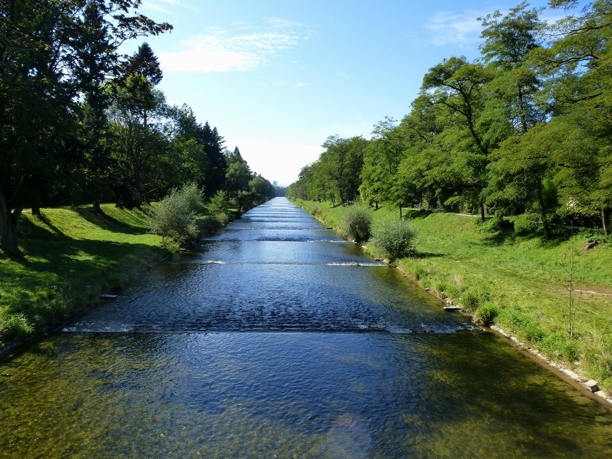 die kanalisierte Wiese, fluabwrts vor der Mndung in den Rhein bei Basel, Sept.2014