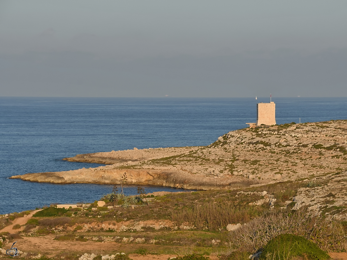 Die karge Maltesische Strandlandschaft bei St. Pauls Bay. (Oktober 2017)