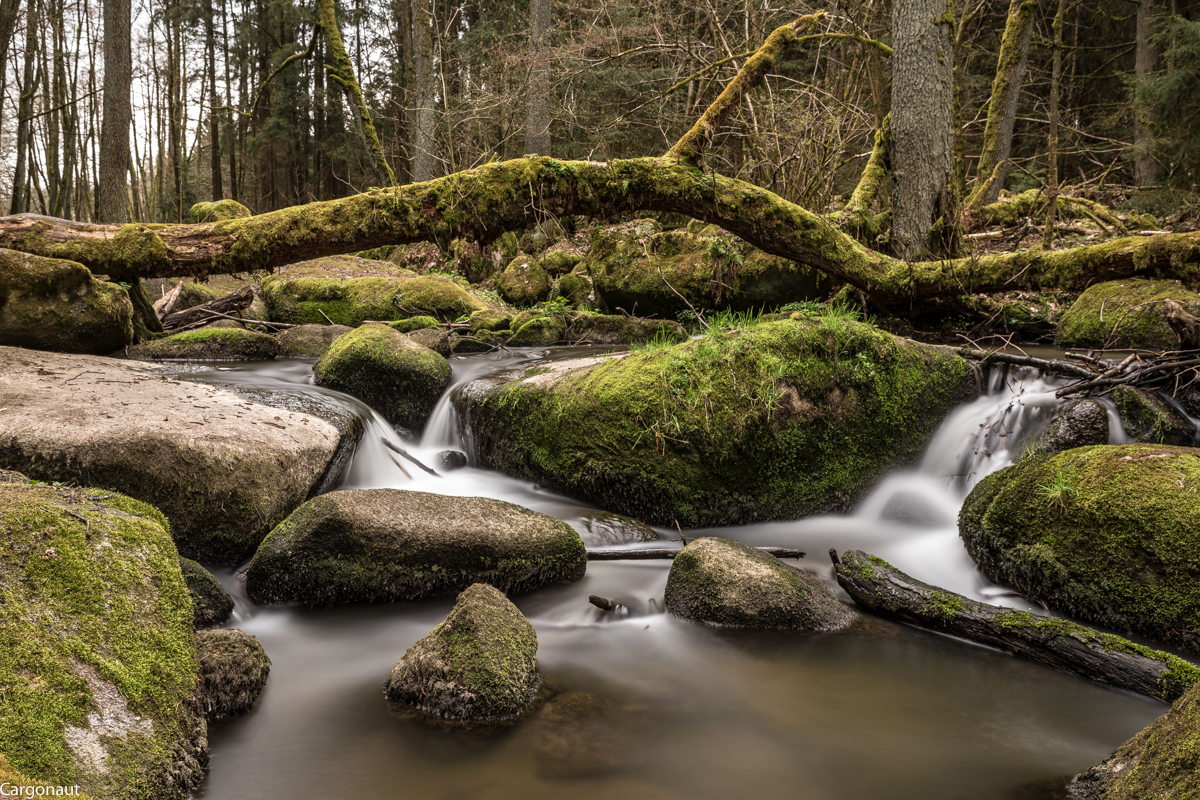 Die kleine Lerau bei Leuichtenberg in der Oberpfalz ist ein malerischen kleines Flüßchen. Es läßt sich gut an Ihr entlang wandern und dies tat ich am 18.04.18 befaffnet mit einem ND-Filter von Haida, um Langzeitbelichtungen aufzunehmen.