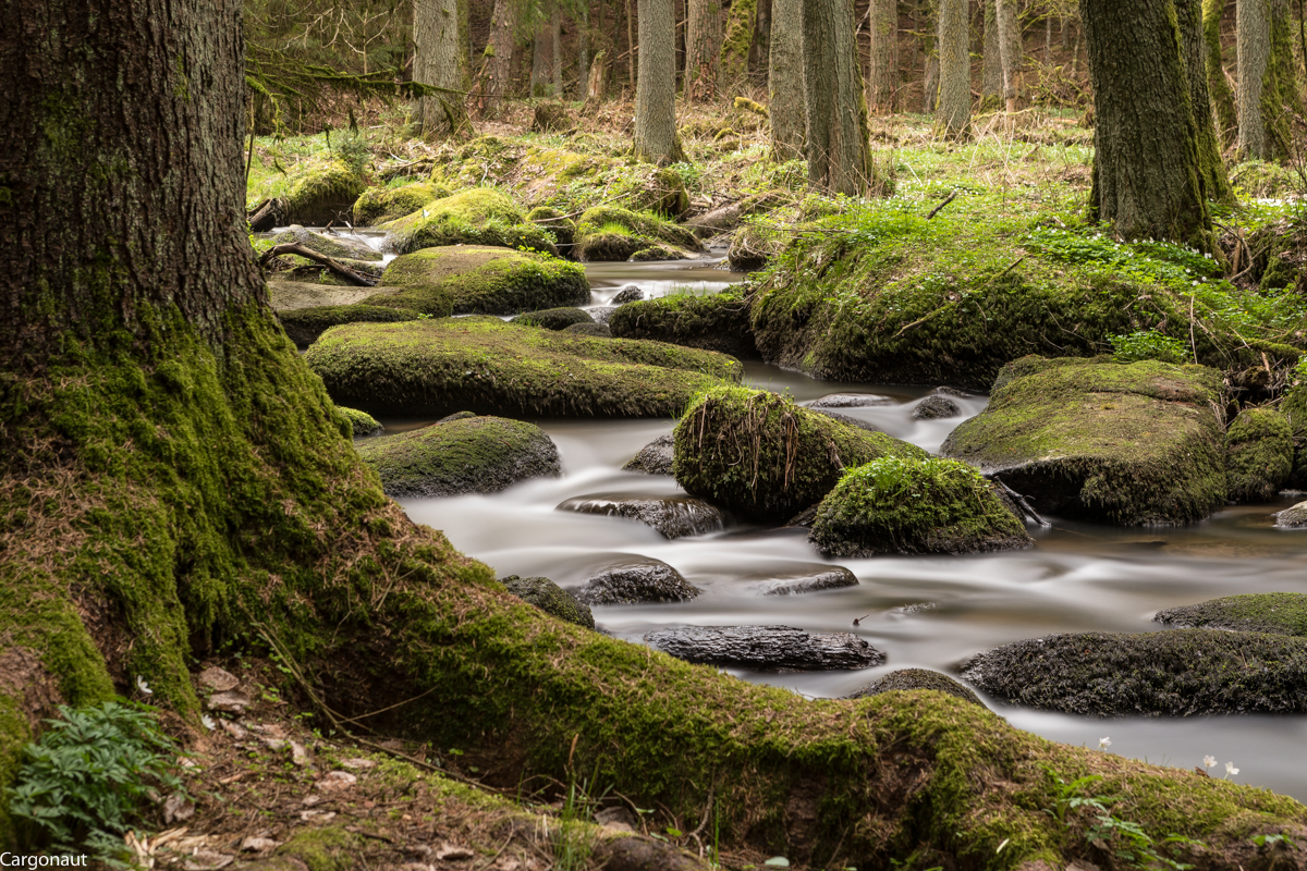 Die kleine Lerau bei Leuichtenberg in der Oberpfalz ist ein malerischen kleines Flüßchen. Es läßt sich gut an Ihr entlang wandern und dies tat ich am 18.04.18 befaffnet mit einem ND-Filter von Haida, um Langzeitbelichtungen aufzunehmen.