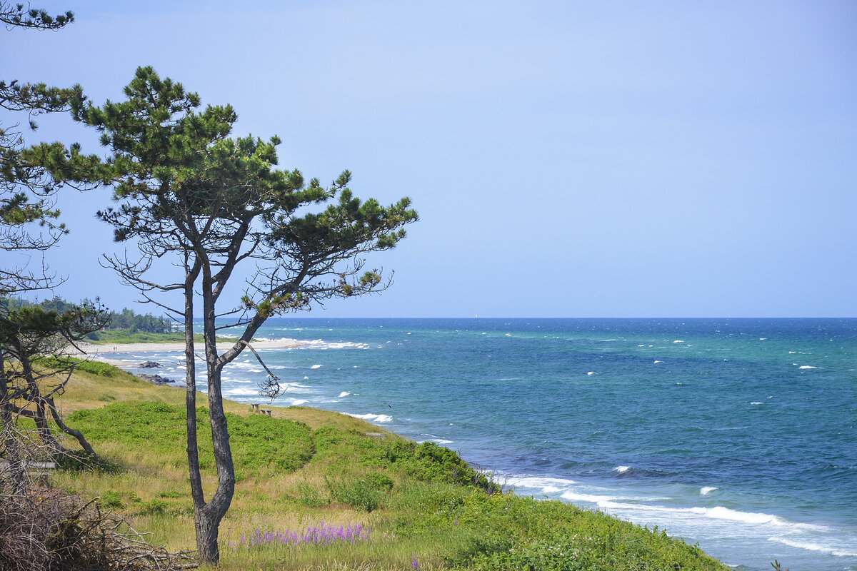 Die Küste bei Heatherhill westlich von Rågeleje auf Nordseeland. Aufnahme: 22. Juni 2023.