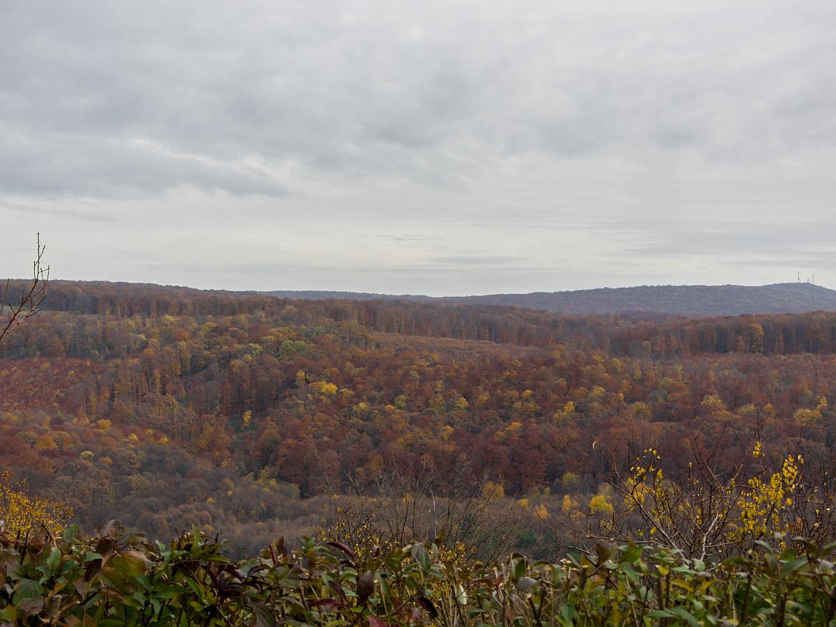 Die Landschaft bei Orfű, Südwest-Ungarn. Aufnahmedatum: 12.11.2017.