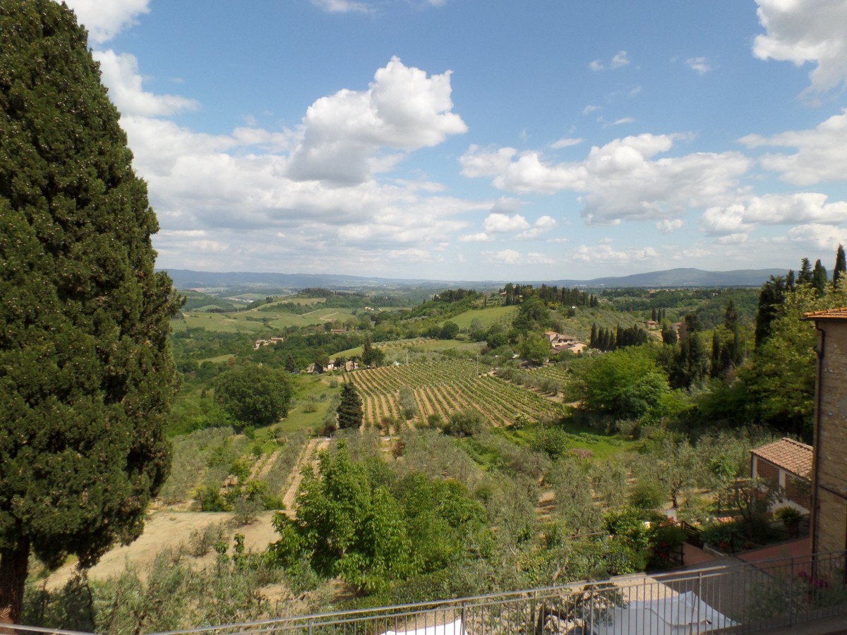Die Landschaft  um San Gimignano, Foto am 20.5.2014
