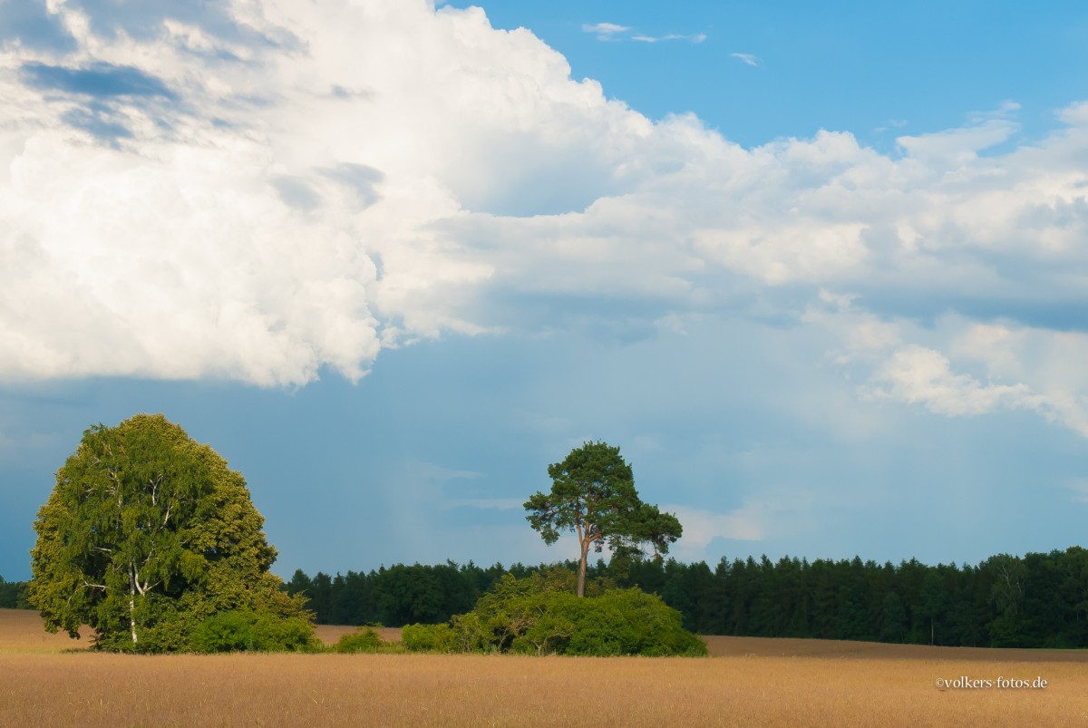 Die Landschaftsaufnahme entstand im August 2013 bei Wriezen.