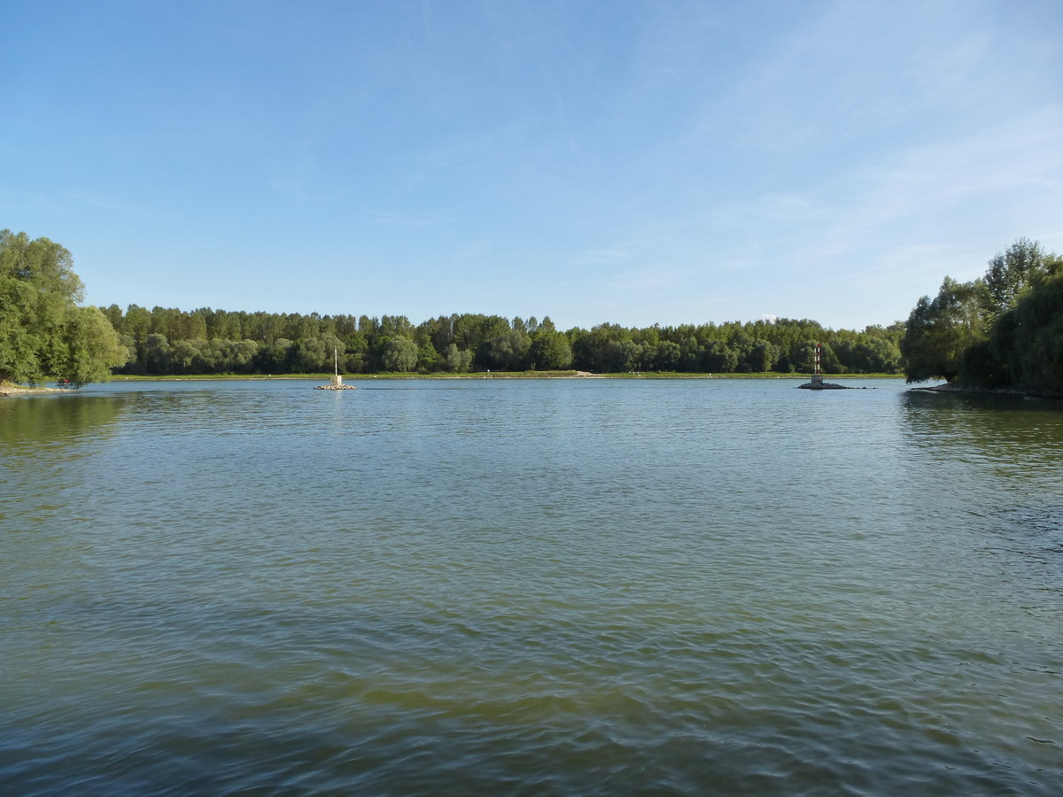 die Lauter im Vordergrund mündet hier bei Neuburg in den Rhein, Sept.2017