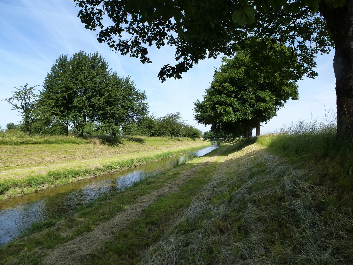 die Mhlin auf dem Weg zum Rhein, hier vor der Ortschaft Grezhausen in der Rheinebene, Juni 2017