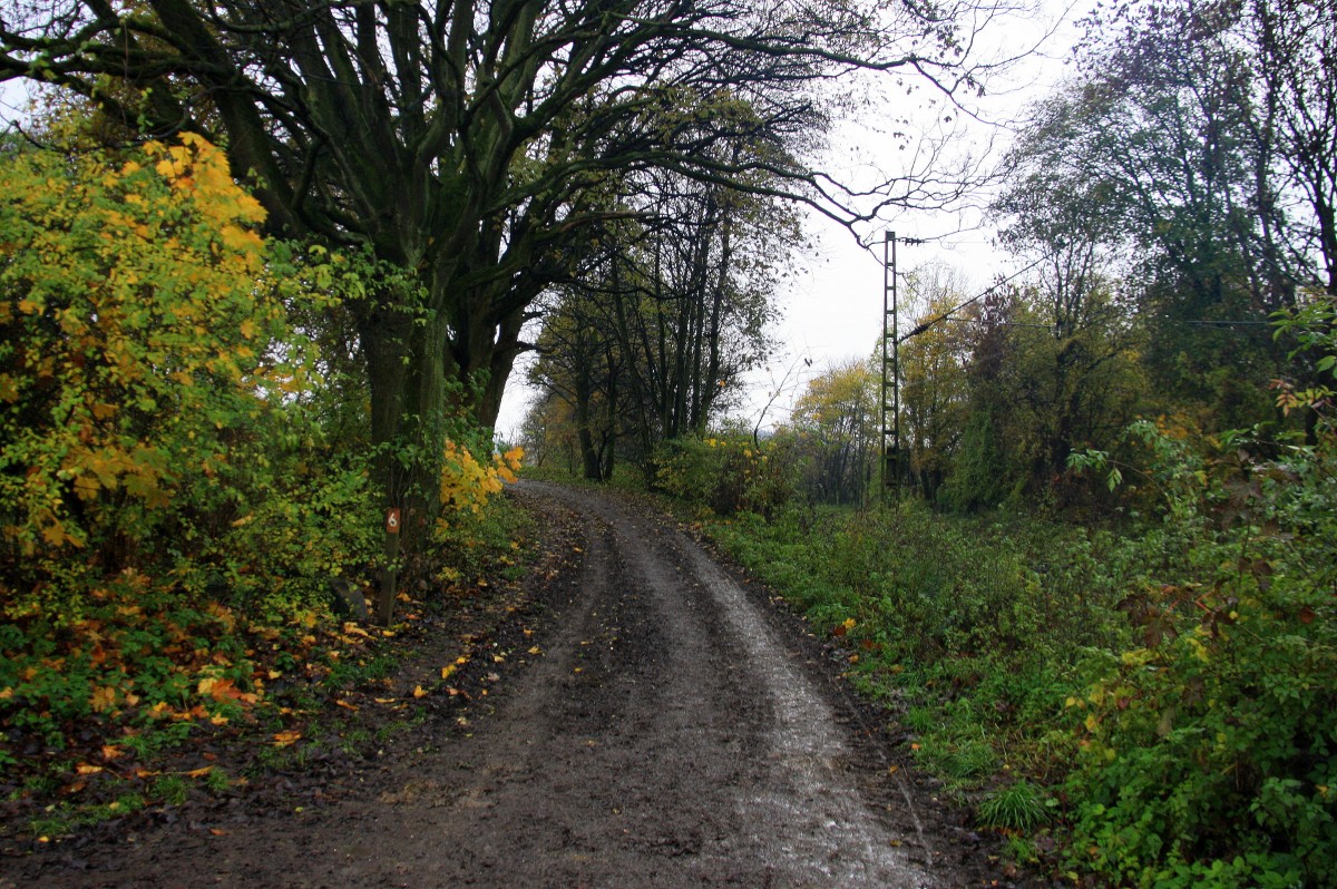 Die Montzenroute am Gemmenicher-Weg in Aachen  am 24.11.2013.