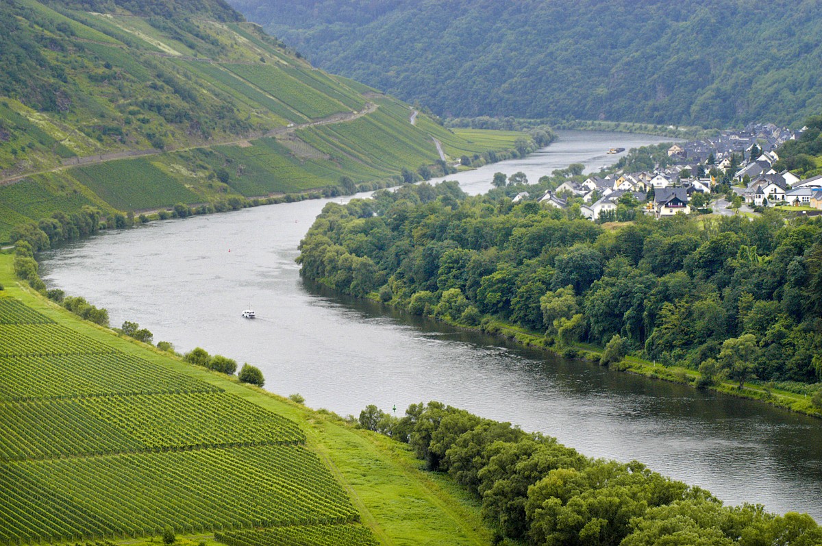 Die Mosel von Marienburg aus gesehen. Aufnahme: Juli 2007.