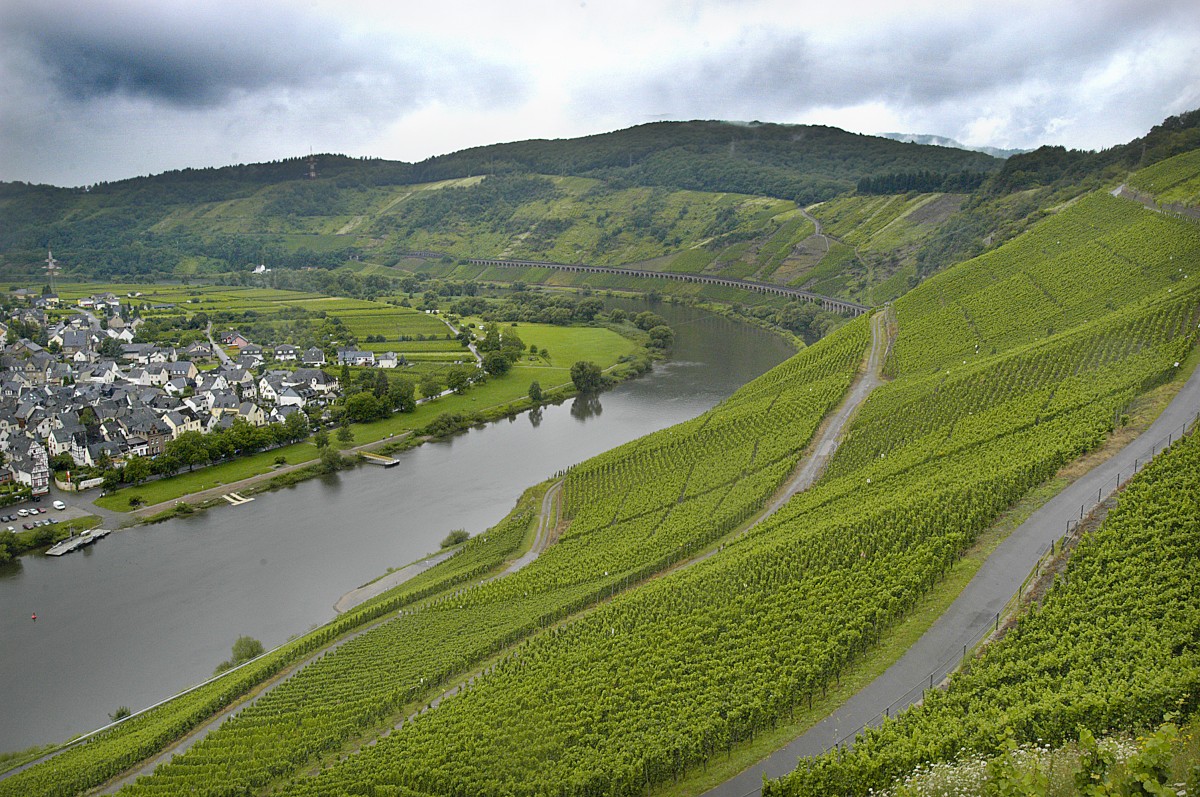 Die Mosel von Marienburg aus gesehen. Aufnahme: Juli 2007.