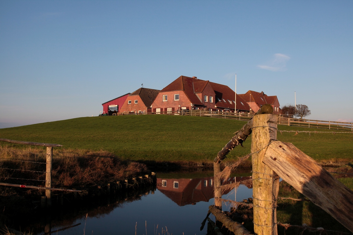 Die Neuwarft auf Hallig Nordstrandischmoor. (20.11.2014)