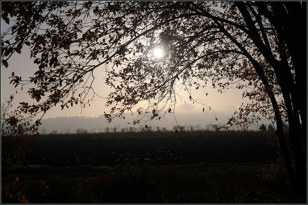 Die noch tiefstehende Sonne -

... hinter den Zweigen eines Baumes.

Bei Kernen-Rommelshausen, 20.11.2020 (N)