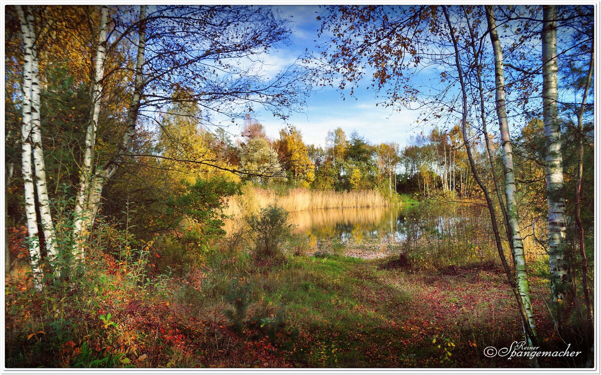 Die Nuddelhofteiche bei Fintel, hier in der Nähe trifft der Kreis Rotenburg/Wümme auf den Heidekreis. In Blickrichtung  (etwa 500m) liegt das von Urlaubern gern besuchte Eurostrand Resort, von dort aus werden auch Ausflüge in die nahe Heide von Schneverdingen unternommen.