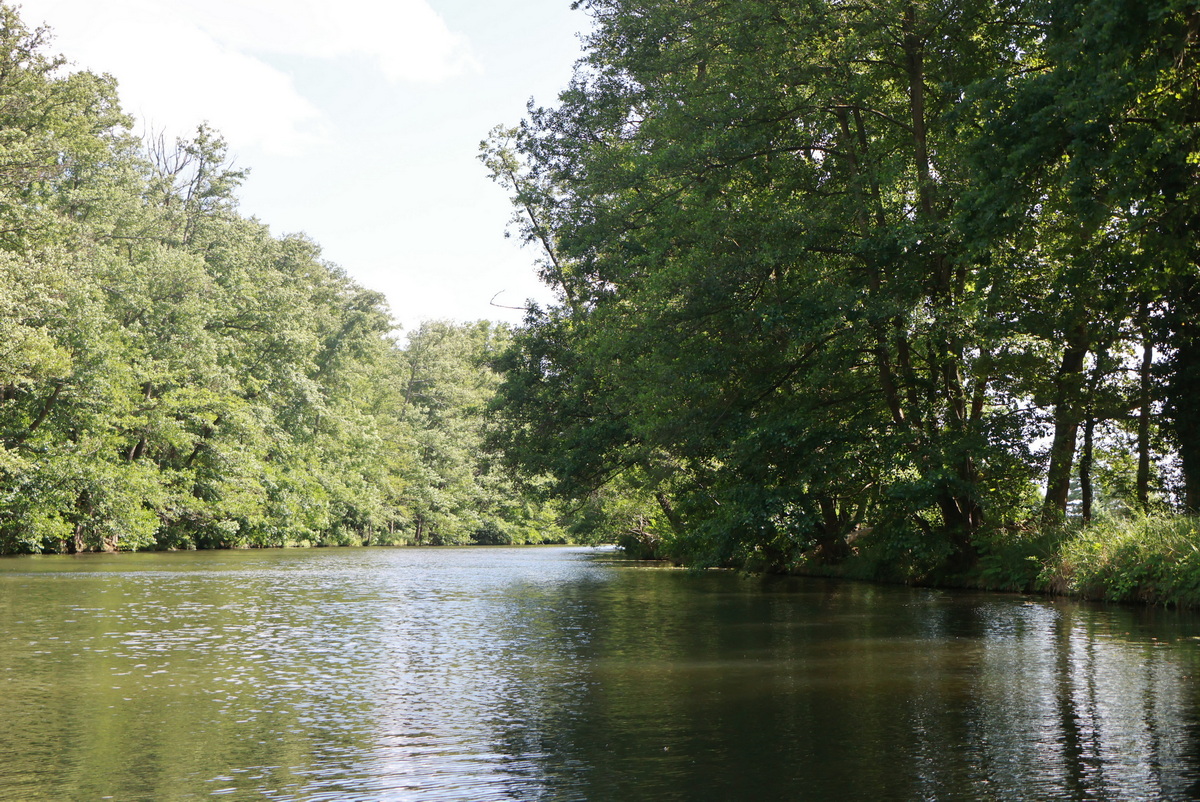 Die Oberspree am 19. Jumi 2025 bei Lübben.