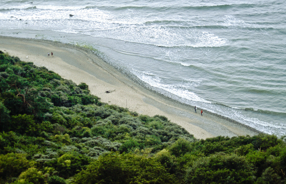 Die Ostküste der Insel Hiddensee vom Swantevitschlucht aus gesehen. Bild vom Dia. Aufnahme: August 2001.