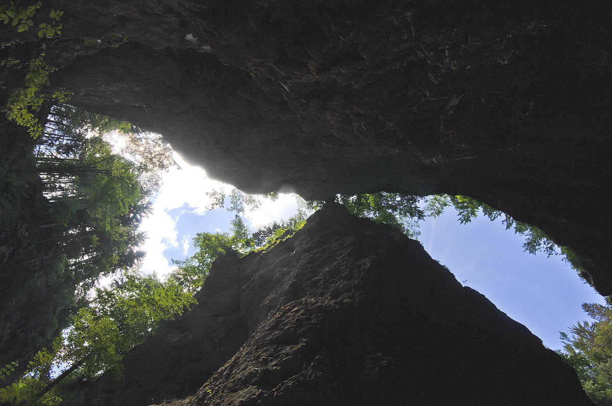 Die Pokljuka Schlucht in Slowenien - von unten nach oben gesehen. Aufnahme: 3. August 2016.