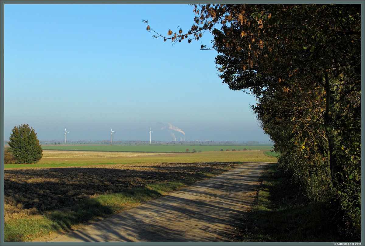 Die Querfurter Platte ist eine stark durch die Landwirtschaft geprägte Kulturlandschaft. Die fruchbaren Böden liefern hier hohe Erträge. Mit der Industrialisierung gewann der Braunkohlebergbau eine hohe Bedeutung. Das im Hintergrund erkennbare Braunkohlekraftwerk Schkopau wird allerdings nach dem Ende der Förderung im nahegelegenen Tagebau Geiseltal vorwiegend aus dem Tagebau Profen bei Zeitz beliefert. Inzwischen prägen auch zahlreiche Windkraftanlagen das Landschaftsbild. (bei Langeneichstädt, 28.10.2014)