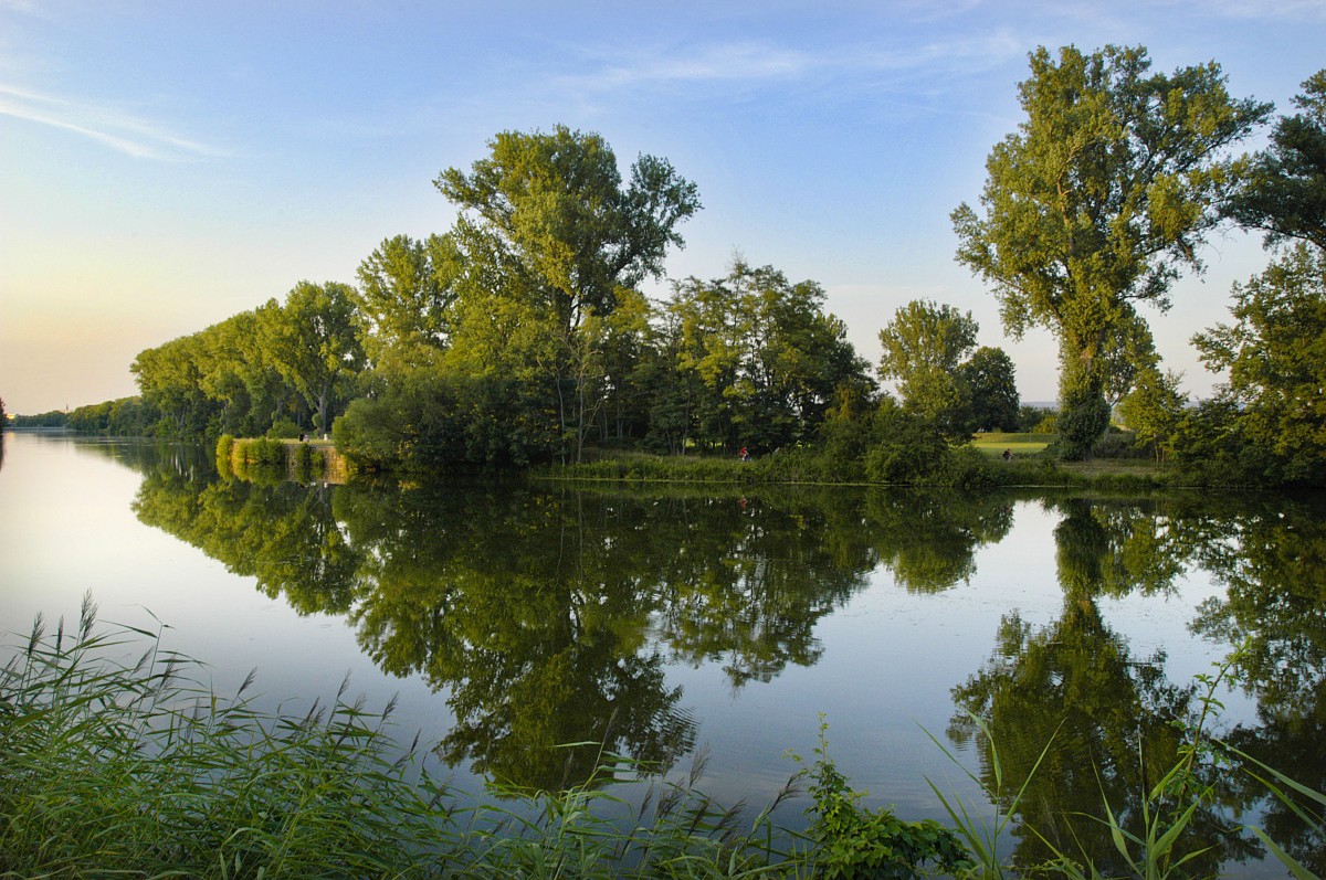 Die Regnitz beib Bamberg. Aufnahme: Juli 2008.