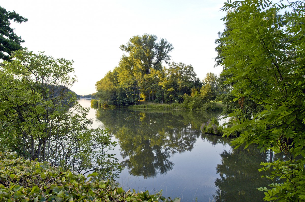 Die Regnitz südlich von Bamberg. Aufnahme: Juli 2008.