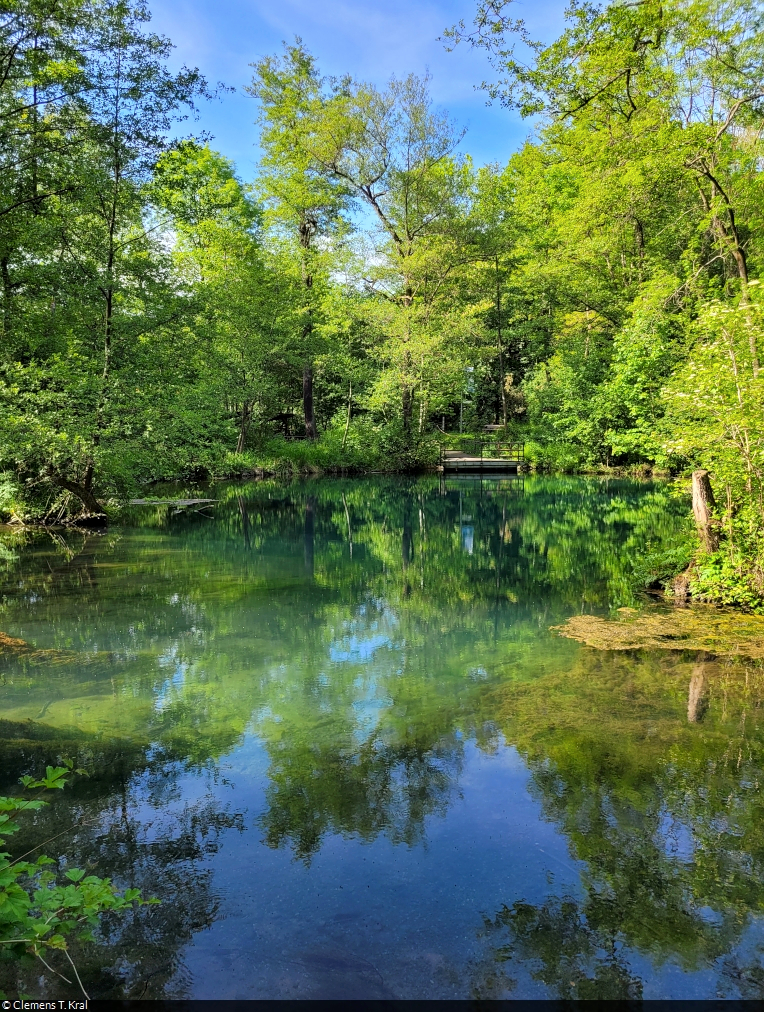 Die Rhumequelle in Rhumspringe besticht durch ihre blau-grüne Färbung und ist daher einen Ausflug wert.

🕓 31.5.2023 | 17:15 Uhr