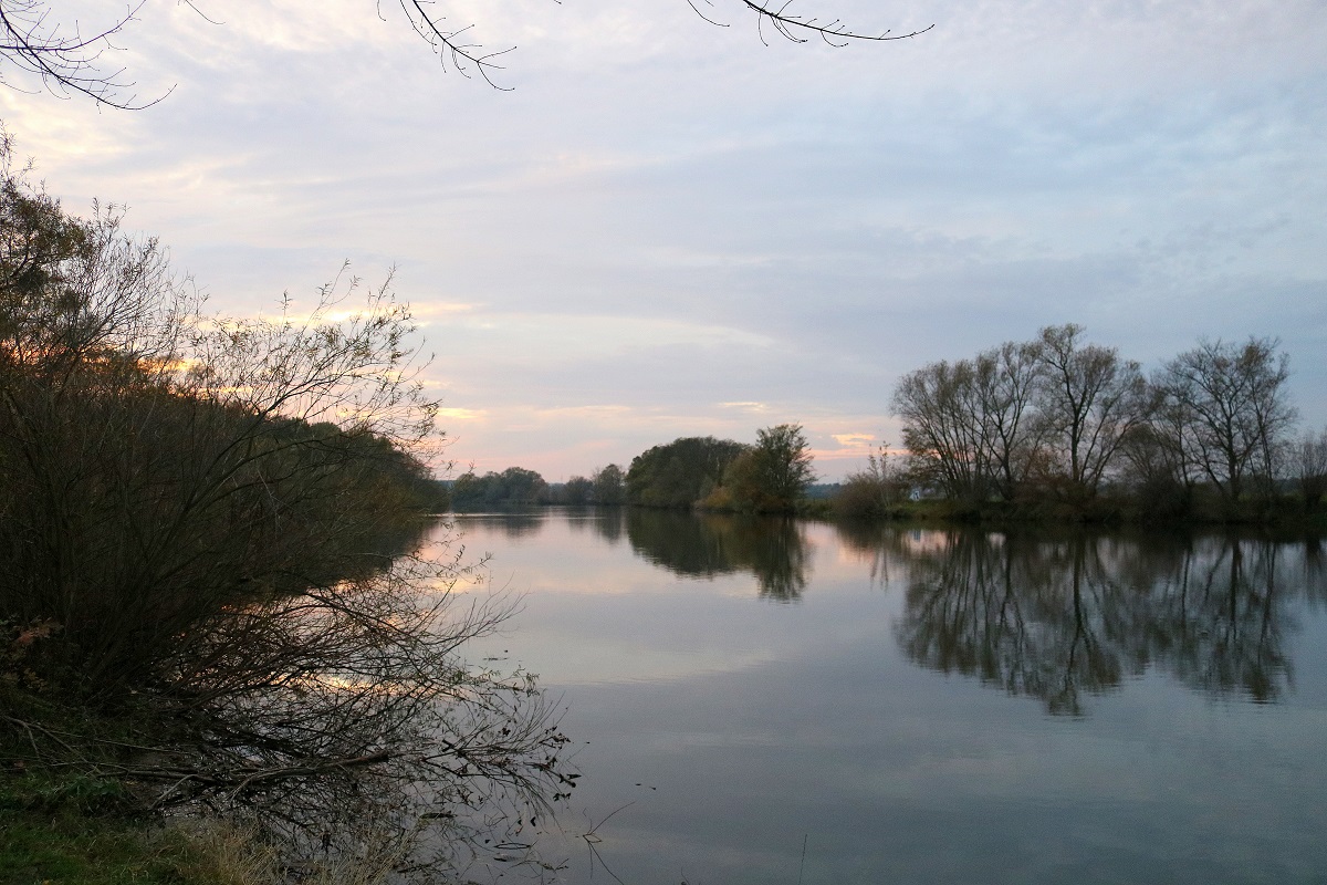 Die ruhige Saale in der Saaleaue bei Böllberg-Wörmlitz in Halle (Saale) am späten Nachmittag, Blickrichtung Westen. [4.11.2017 | 16:35 Uhr]