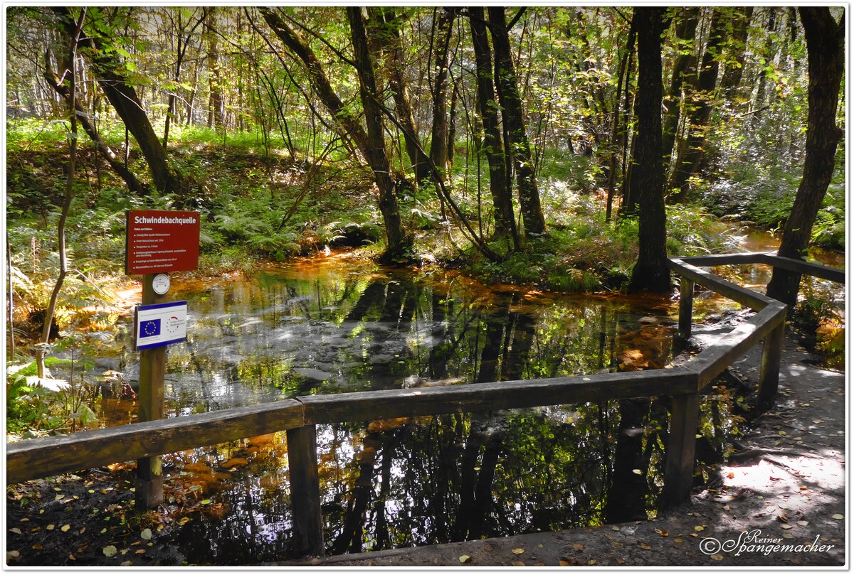 Die Schwindebachquelle bei Soderstorf in der Lüneburger Heide. Nicht weit von dort finden wir auch die Schwindebecker Heide. Bei dieser Quelle soll es sich um die zweit wasserreichste Quelle in Niedersachen handeln, nur eine Quelle im Harz fördert noch mehr Wasser zu Tage. August 2021. 