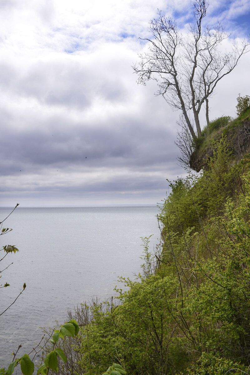 Die Steilküste bei Stevns Klint auf der Insel Seeland. Aufnahme: 15. Mai 2021.