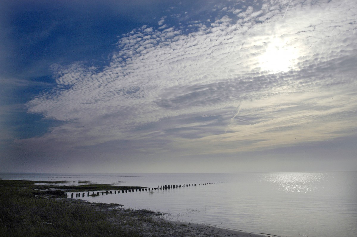 Die Südküste auf der Insel Mandø im dänischen Teil des Wattenmeers. Aufnahme: 2. September 2006