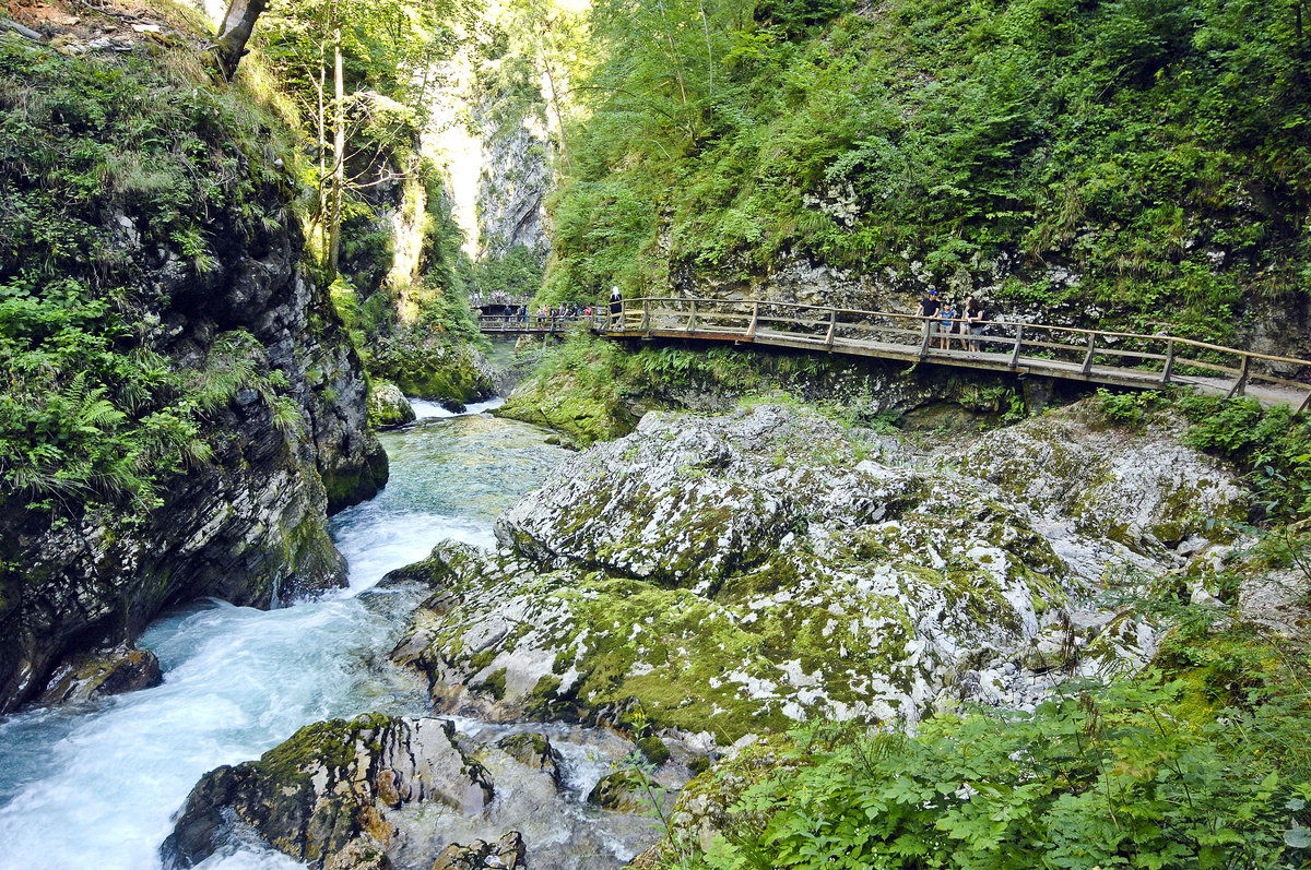 Die Vintgar-Klamm (slowenisch: Blejski Vintgar) ist eine Klamm ca. 4 km nordwestlich von Bled in Slowenien. Aufnahme: 2. August 2016.