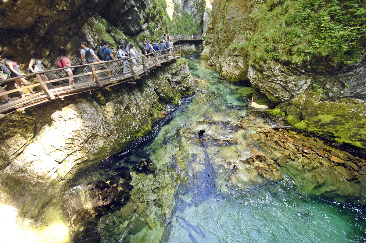 Die Vintgar-Klamm (slowenisch: Blejski Vintgar) ist eine Klamm ca. 4 km nordwestlich von Bled in Slowenien. Aufnahme: 3. August 2016.